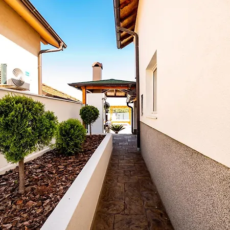 Harmonija Na Dunavu *